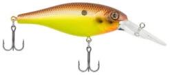 Berkley Bad Shad Medium Diving Crankbait -Deals US Rods And Reels Store brown mustard