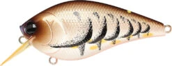 Lucky Craft LC 2.5 Shallow Squarebill Crankbait -Deals US Rods And Reels Store cameleon brown craw