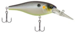 Berkley Bad Shad Medium Diving Crankbait -Deals US Rods And Reels Store chameleon pearl