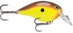 Rapala DT Series Crankbait DT4 -Deals US Rods And Reels Store chartreuse brown 74f30f15 7fc4 408a a73f 846212ded236