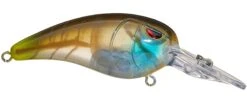 SPRO Mike McClelland RkCrawler 50 Medium Diving Crankbait -Deals US Rods And Reels Store clear gill