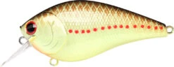 Lucky Craft LC 2.5 Shallow Squarebill Crankbait -Deals US Rods And Reels Store copper 2Bperch