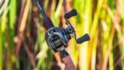 Daiwa Steez CT SV Baitcasting Reel 22 Daiwa Steez CT SV Baitcasting Reel -Deals US Rods And Reels Store daiwa steez ct sv 5