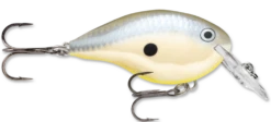 Rapala DT Series Crankbait DT4 -Deals US Rods And Reels Store disco shad 48ff9892 84e7 4f3b 8c8c 61b5dda2adf1