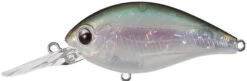 Evergreen International CR-8 Medium Diving Crankbait -Deals US Rods And Reels Store evergreen CR 10 440 ghost wakasagi 3d9928f0 9fc4 4dde bf94 43a592b3e0c6