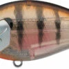 Evergreen International SH-3 Shallow Squarebill Crankbait 1 Evergreen International SH-3 Shallow Squarebill Crankbait -Deals US Rods And Reels Store evergreen SH 3 246 ghost baby gill