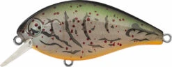 Evergreen International SH-3 Shallow Squarebill Crankbait -Deals US Rods And Reels Store evergreen SH 3 363 albino craw