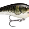 Rapala Fat Rap 05 Deep Diving Crankbait -Deals US Rods And Reels Store fr05cw