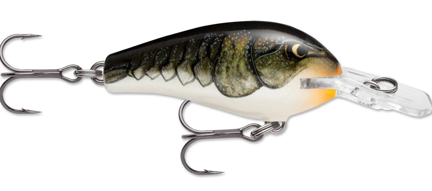 Rapala Fat Rap 05 Deep Diving Crankbait 3 Rapala Fat Rap 05 Deep Diving Crankbait