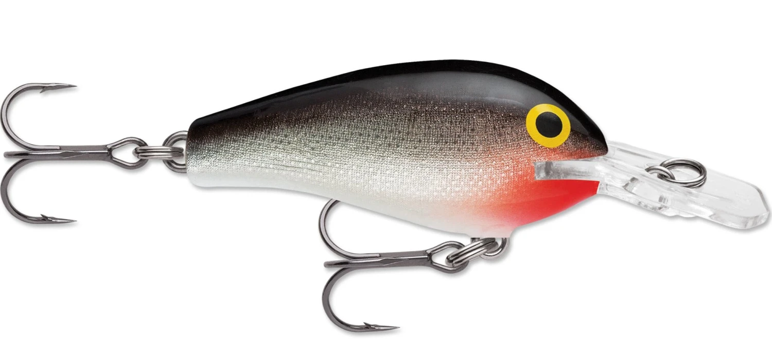 Rapala Fat Rap 05 Deep Diving Crankbait 6 Rapala Fat Rap 05 Deep Diving Crankbait - Image 4