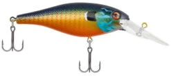 Berkley Bad Shad Medium Diving Crankbait -Deals US Rods And Reels Store gilly