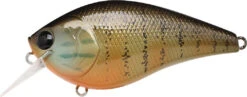 Lucky Craft LC 2.5 Shallow Squarebill Crankbait -Deals US Rods And Reels Store gold pumpkin seed