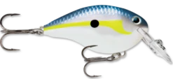 Rapala DT Series Crankbait DT4 -Deals US Rods And Reels Store helsinki shad d51ddd77 2b9e 4d11 9784 2b01233e181d