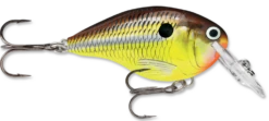 Rapala DT Series Crankbait DT4 -Deals US Rods And Reels Store hot mustard 2fba7517 cf40 40e0 b101 cdae8a8ef9bc