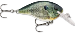 Rapala DT Series Crankbait DT4 -Deals US Rods And Reels Store live bluegill 081b953a 2495 4e91 8399 d3acc222bfc4