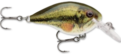 Rapala DT Series Crankbait DT4 -Deals US Rods And Reels Store live largemouth bass 2f259570 db69 465c b5d8 9a0aa813ca36