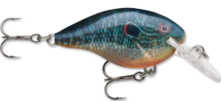 Rapala DT Series Crankbait DT4 -Deals US Rods And Reels Store live pumpkinseed 329bf6f4 4258 4a12 9973 80c87ede8f9b