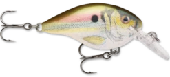 Rapala DT Series Crankbait DT4 -Deals US Rods And Reels Store live river shad 99811d93 def6 46c2 847f 2cc70509e248