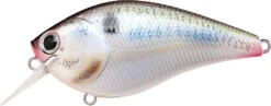 Lucky Craft LC 2.5 Shallow Squarebill Crankbait -Deals US Rods And Reels Store live threadfin shad