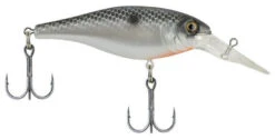 Berkley Bad Shad Medium Diving Crankbait -Deals US Rods And Reels Store midnight pearl