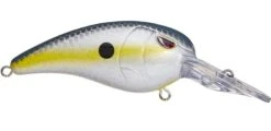 SPRO Mike McClelland RkCrawler 50 Medium Diving Crankbait -Deals US Rods And Reels Store nasty shad e0f5b9bf 3078 4f20 ad2c 610ccbec7fea