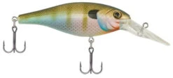 Berkley Bad Shad Medium Diving Crankbait -Deals US Rods And Reels Store natural bluegill