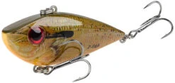 Strike King Red Eyed Shad Tungsten 2 Tap 3/4 Oz. Lipless Crankbait 36 Strike King Red Eyed Shad Tungsten 2 Tap 3/4 Oz. Lipless Crankbait -Deals US Rods And Reels Store orange bream e907a702 bfec 4a03 9078 1b2ffae2faa6