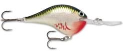 Rapala DT Series Crankbait DT10 -Deals US Rods And Reels Store rapala dt10 bleeding olive shiner dbe97a01 c0fb 484c a461 9310afc63e60