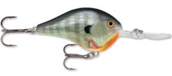 Rapala DT Series Crankbait DT10 -Deals US Rods And Reels Store rapala dt10 bluegill 14060d7f 983d 4150 b3b3 98c3dbb838ee