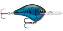 Rapala DT Series Crankbait DT10 -Deals US Rods And Reels Store rapala dt10 bruised d7e3e162 b99f 496e b906 4045c9fc3e2d