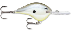 Rapala DT Series Crankbait DT10 -Deals US Rods And Reels Store rapala dt10 disco shad 36550a90 92f3 4b70 8ed9 5edabcfbb3ee