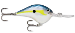 Rapala DT Series Crankbait DT10 -Deals US Rods And Reels Store rapala dt10 helsinki shad e2938646 4d4a 4aaa a95f 88970c17dd71