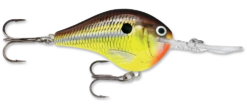 Rapala DT Series Crankbait DT10 -Deals US Rods And Reels Store rapala dt10 hot mustard fa87ee8c 94de 4e93 8db4 8754b6710112