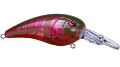 SPRO Mike McClelland RkCrawler 50 Medium Diving Crankbait -Deals US Rods And Reels Store red river craw