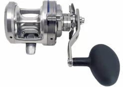 Daiwa Saltiga Star Drag 20/30/35/40/50 Conventional Reels -Deals US Rods And Reels Store saltigastar2