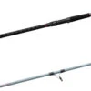 Daiwa Team Daiwa Spinning Surf Rods