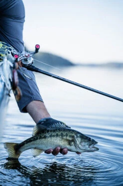 Temple Fork Outfitters Tactical Elite Bass Baitcasting Rods -Deals US Rods And Reels Store tfo tactical elite bass bottom banner lifestyle 1 1