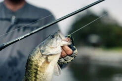 Temple Fork Outfitters Tactical Elite Bass Baitcasting Rods -Deals US Rods And Reels Store tfo tactical elite bass bottom banner lifestyle 5 1