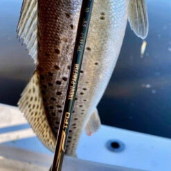 Temple Fork Outfitters Trout-Panfish Spinning Rods -Deals US Rods And Reels Store tfo trout panfish spots