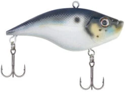 Berkley Warpig Lipless Crankbait -Deals US Rods And Reels Store warpig blue back