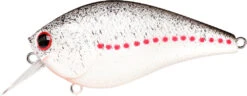 Lucky Craft LC 2.5 Shallow Squarebill Crankbait -Deals US Rods And Reels Store white 2Bshad